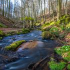 Frühling in der Karlstalschlucht