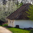 Frühling in der Kellergasse