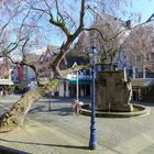 Frühling in der Kölner Altstadt