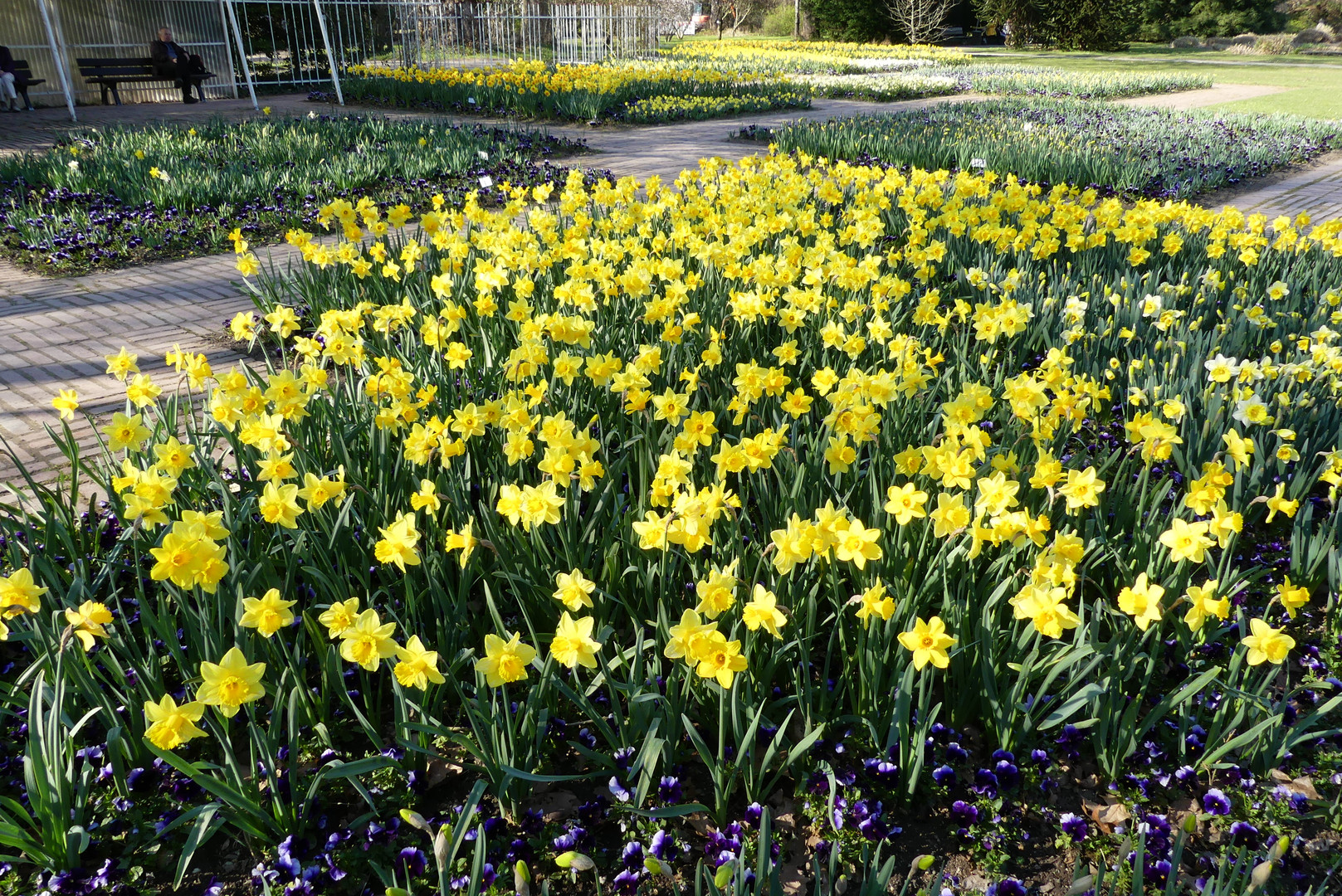 Frühling in der Kölner Flora