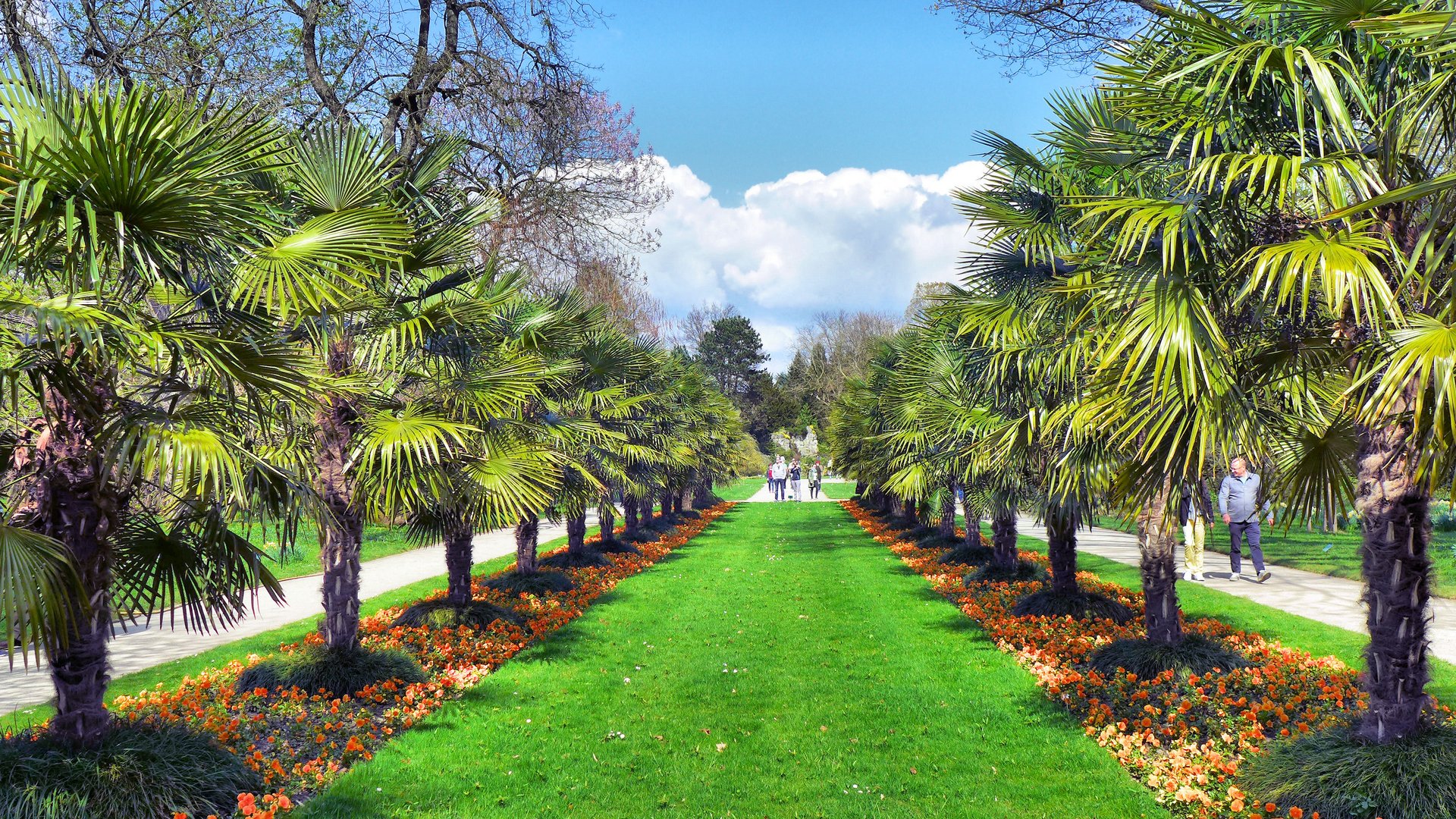 Frühling in der Kölner Flora