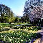 Frühling in der Kölner Flora