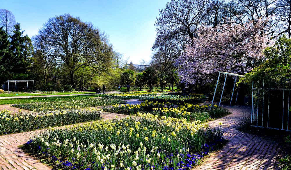 Frühling in der Kölner Flora