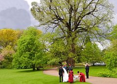 Frühling in der Kölner Flora