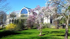 Frühling in der Kölner Flora