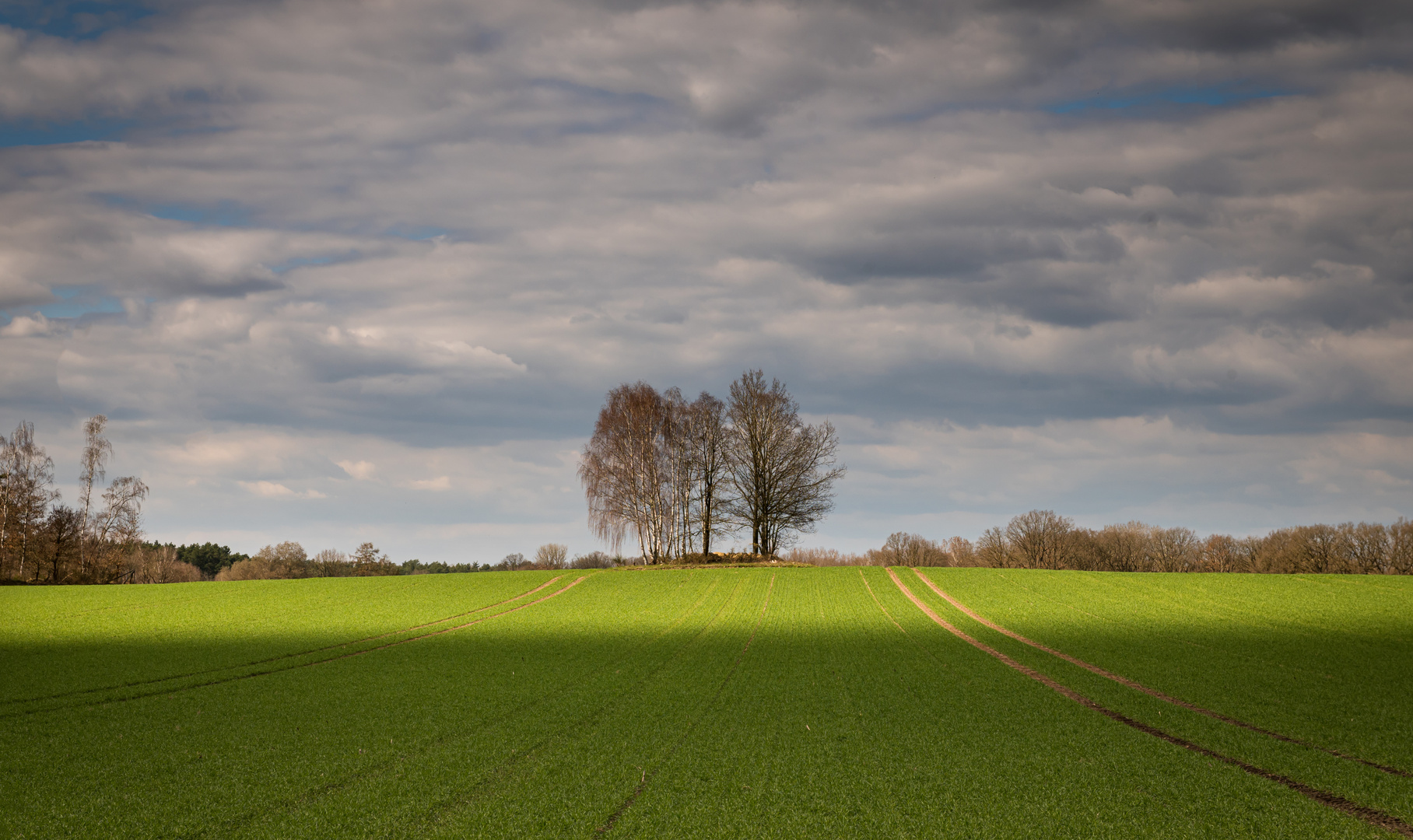 Frühling in der Landschaft