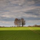 Frühling in der Landschaft