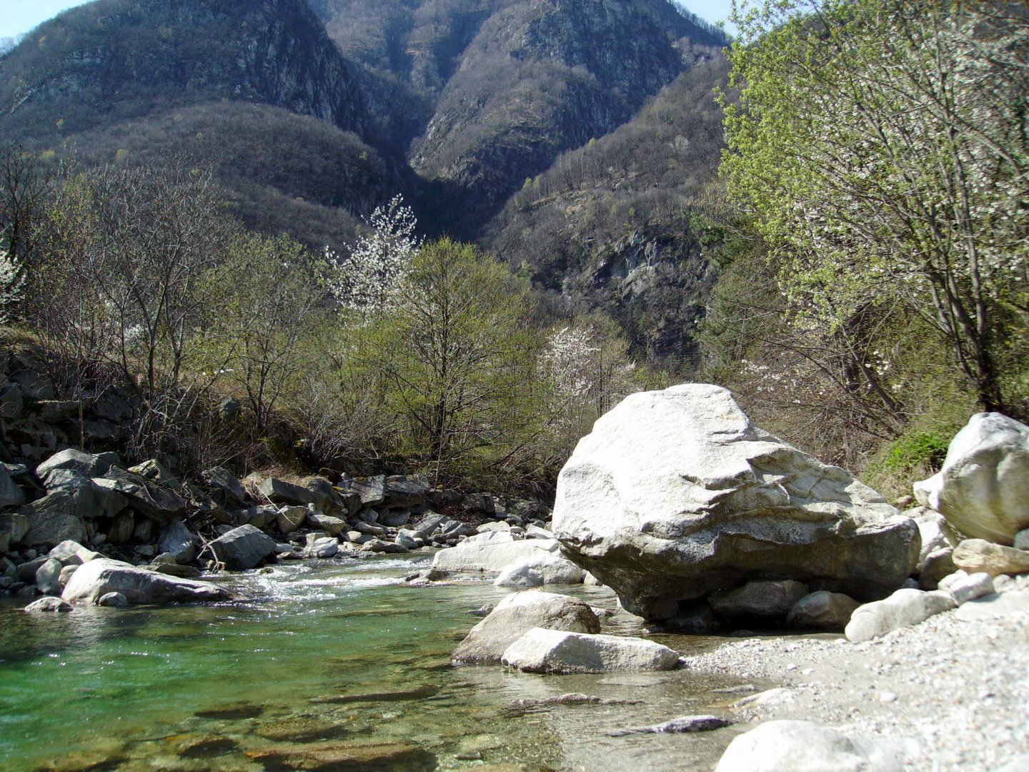 Frühling in der Leventina