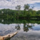 Frühling in der Lobau