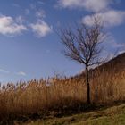 Frühling in der Luft