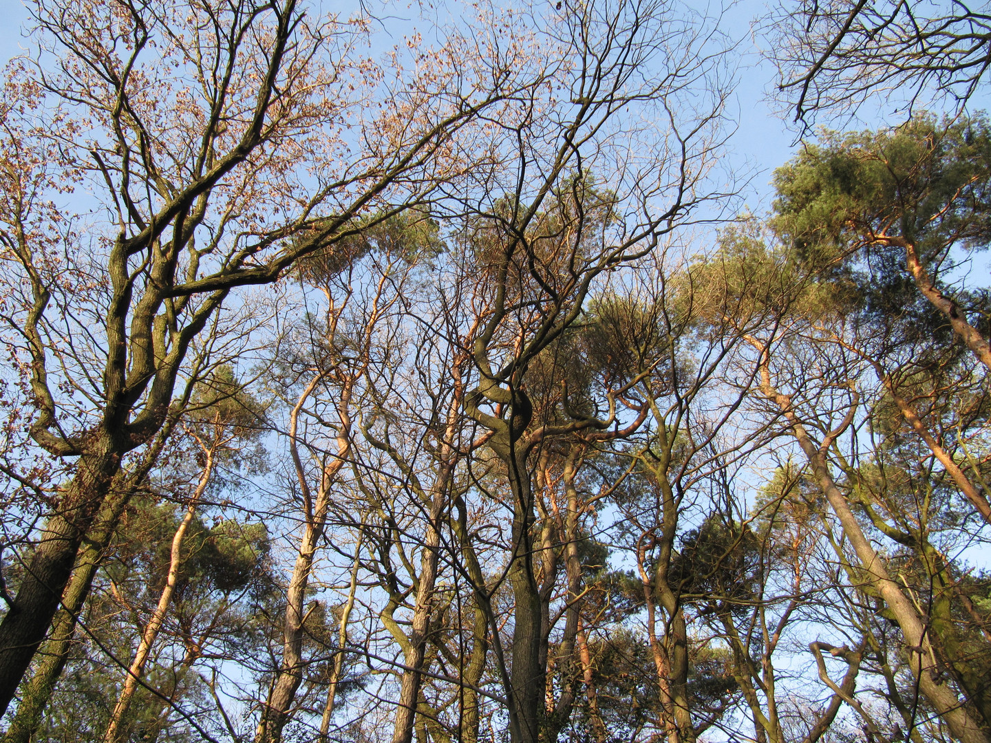 Frühling in der Luft