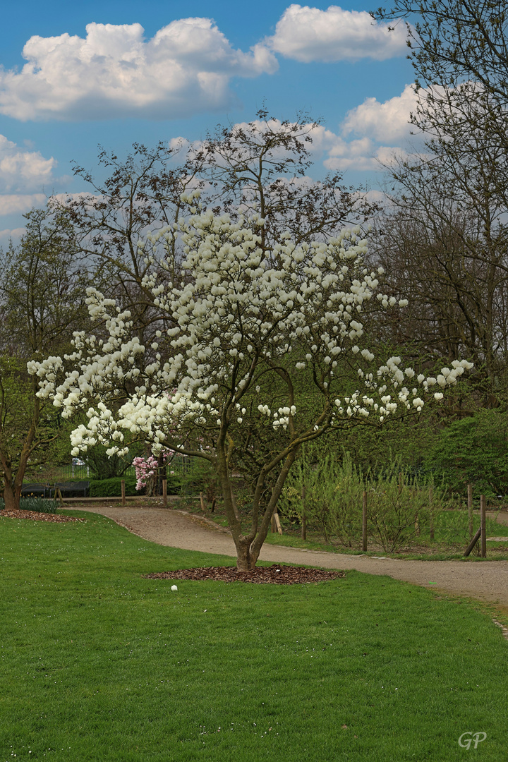 Frühling in der Müga