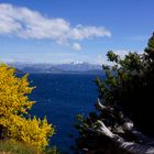 Frühling in der Nähe von Bariloche