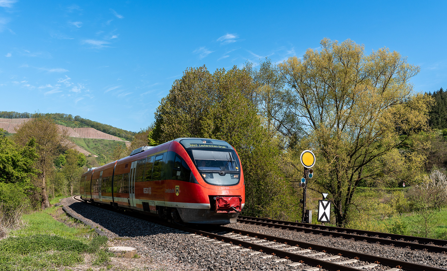 Frühling in der Nordpfalz