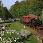 Frühling in der Oberlausitz 05