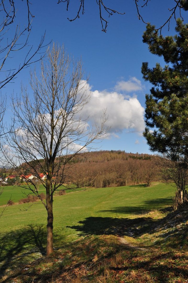 Frühling in der Oberlausitz