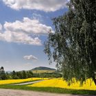 Frühling in der Oberlausitz