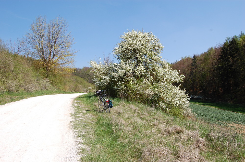 Frühling in der Oberpfalz