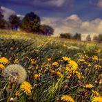 Frühling in der Oberpfalz