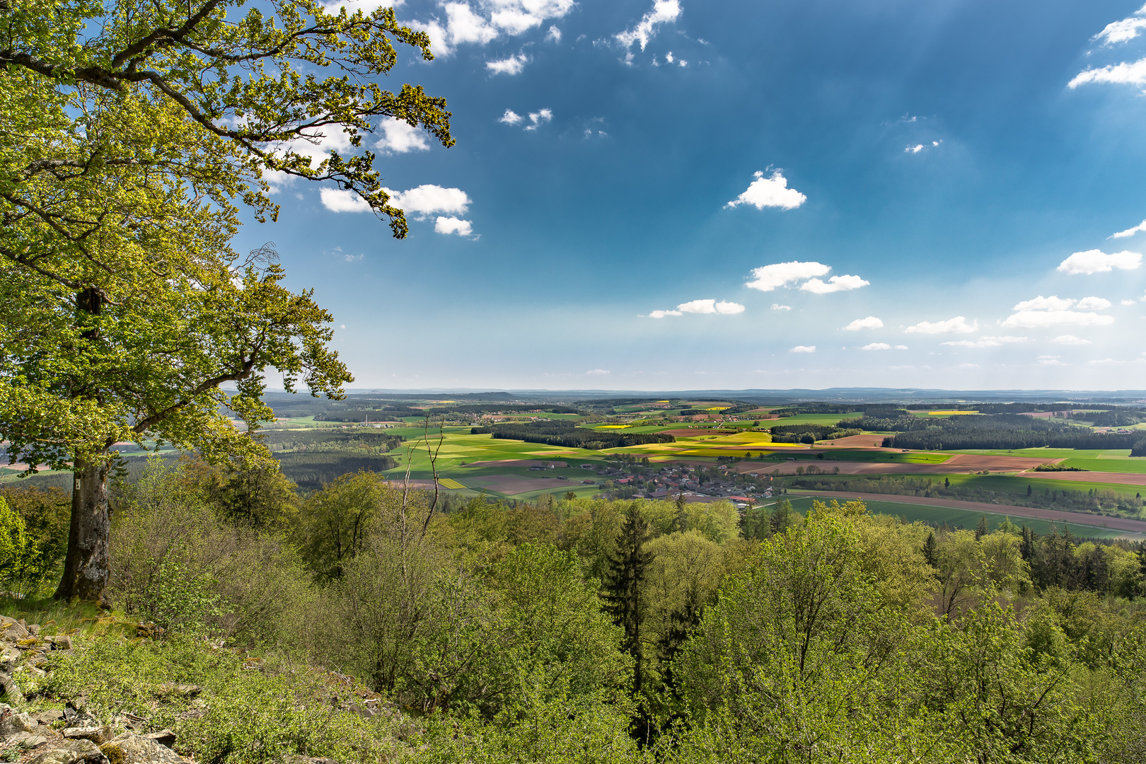 Frühling in der OPf.