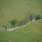 Frühling in der Ortenau