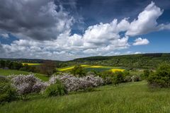 *Frühling in der Osteifel*