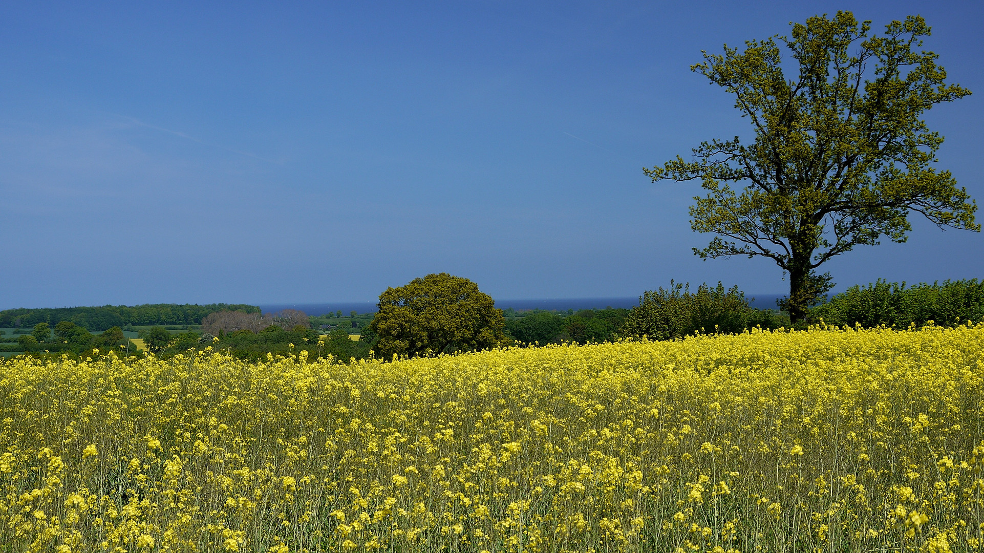 Frühling in der Ostholsteinischen Schweiz 2.