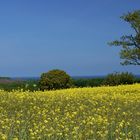 Frühling in der Ostholsteinischen Schweiz 2.