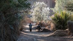 Frühling in der Palmerie