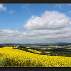 FRÜHLING IN DER PFALZ