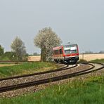 Frühling in der Pfalz