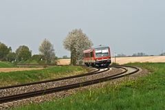 Frühling in der Pfalz