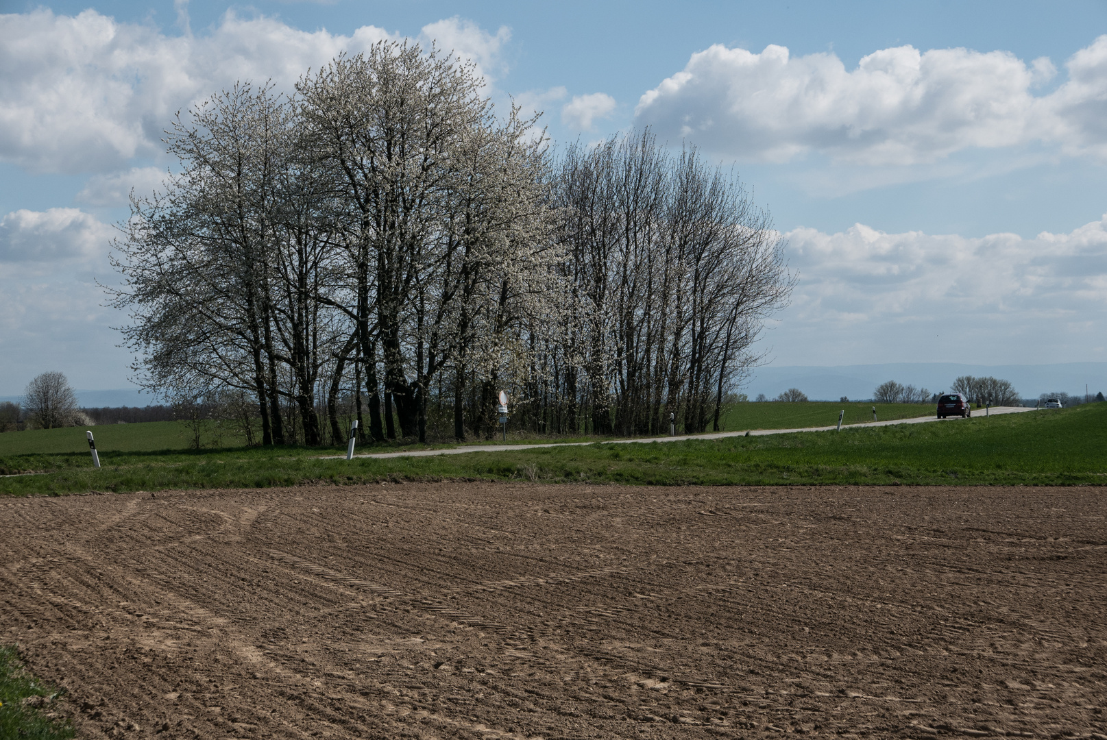 Frühling in der Pfalz - 7