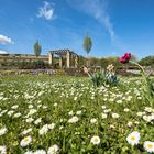 Frühling in der Pfalz