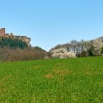 Frühling in der Pfalz.