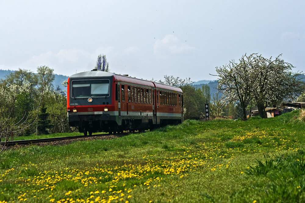 Frühling in der Pfalz (II)