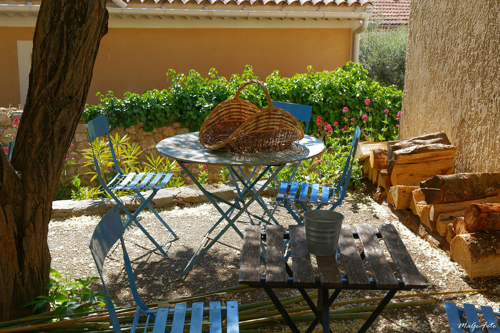 Frühling in der Provence (1)