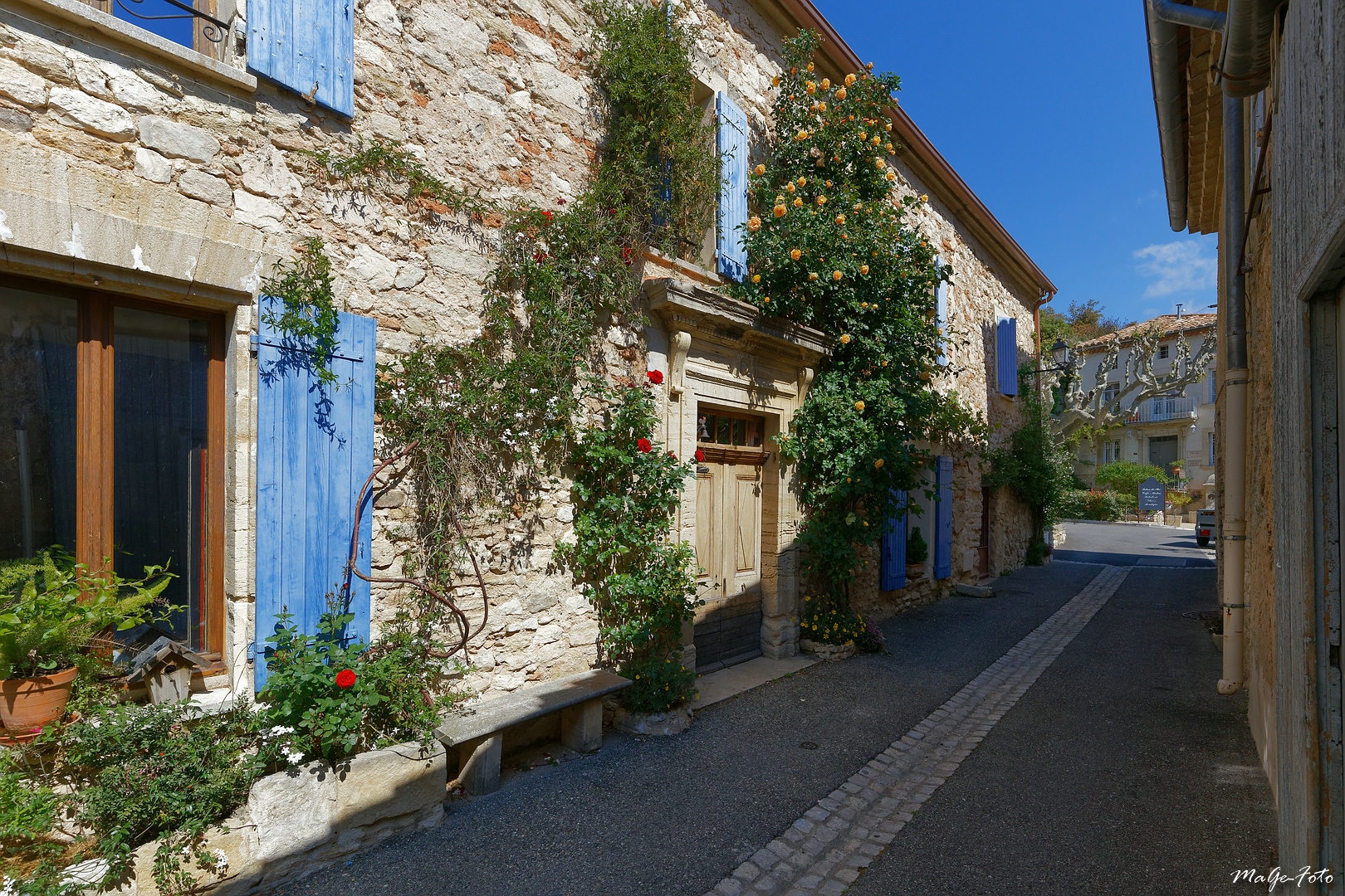 Frühling in der Provence (3)