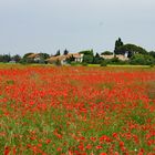 Frühling in der Provence 