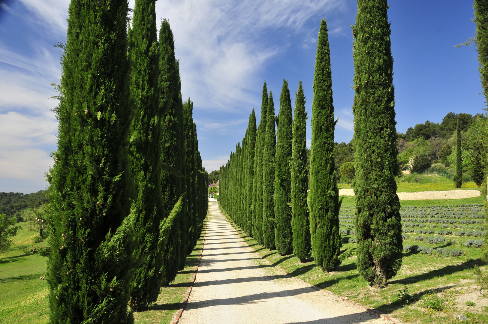 Frühling in der Provence