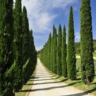 Frühling in der Provence