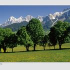 Frühling in der Ramsau