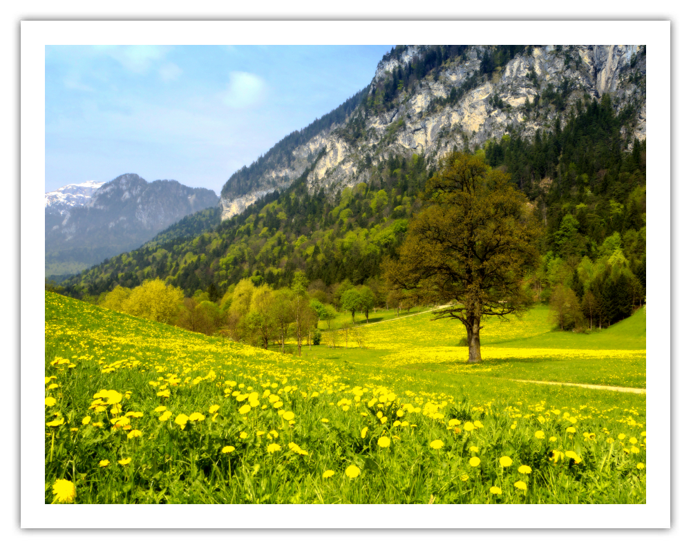 Frühling in der Region der Kramsacher Seen