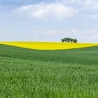 Frühling in der Region Hannover