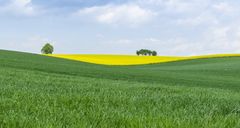 Frühling in der Region Hannover