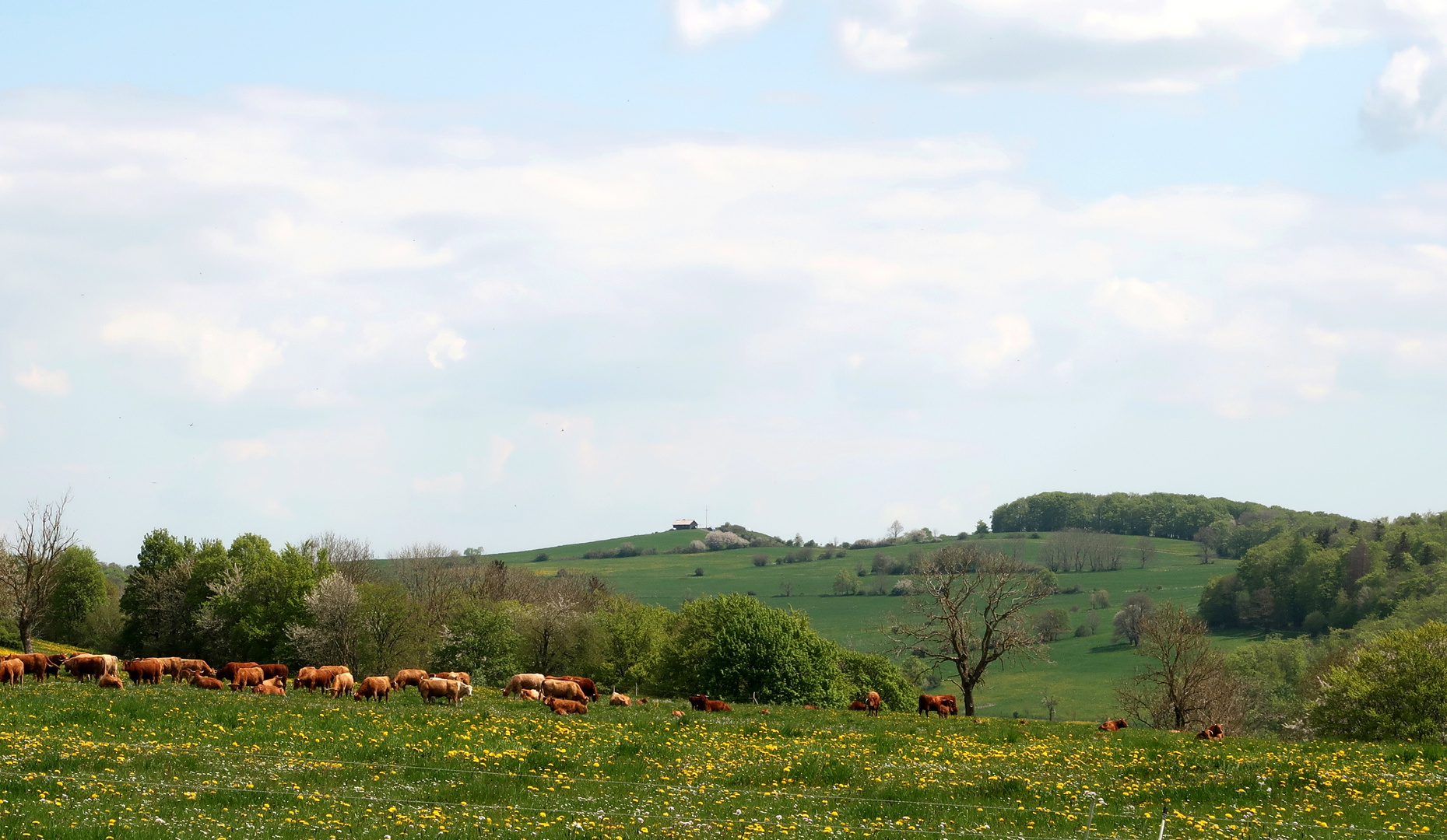 Frühling in der Rhön