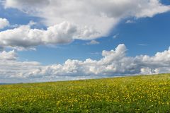 Frühling in der Rhön