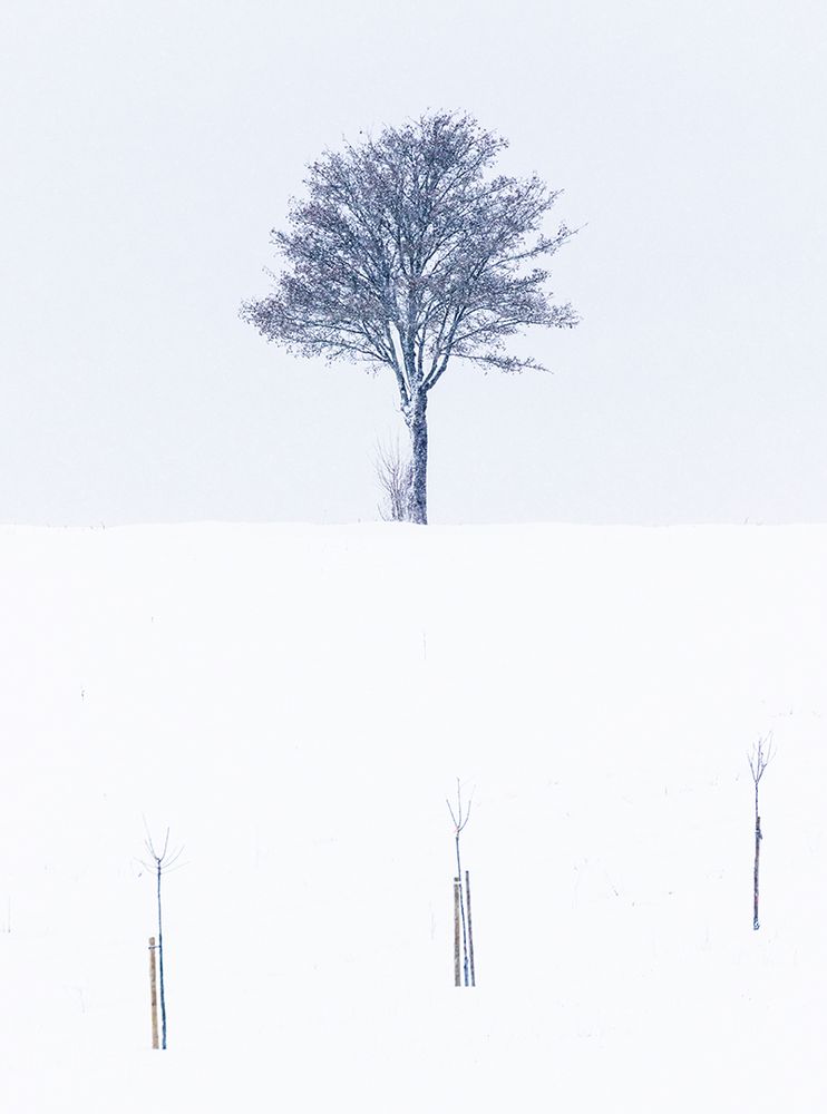 Frühling in der Rhön