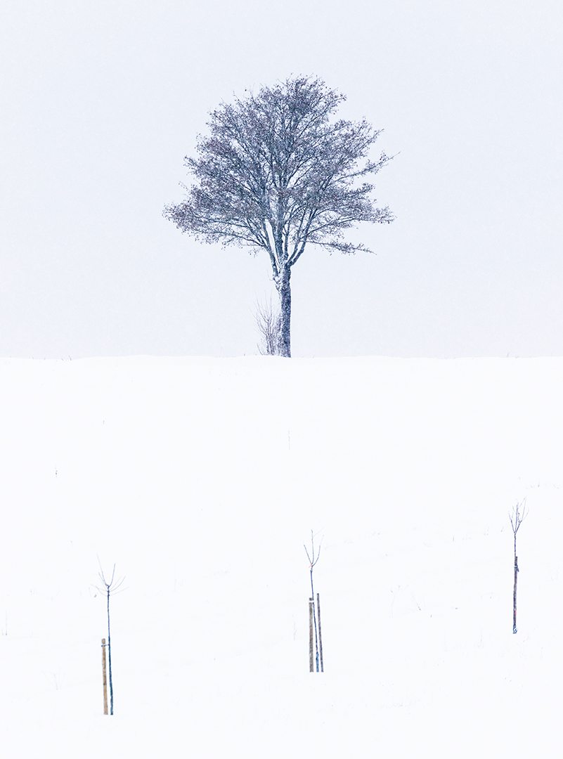 Frühling in der Rhön