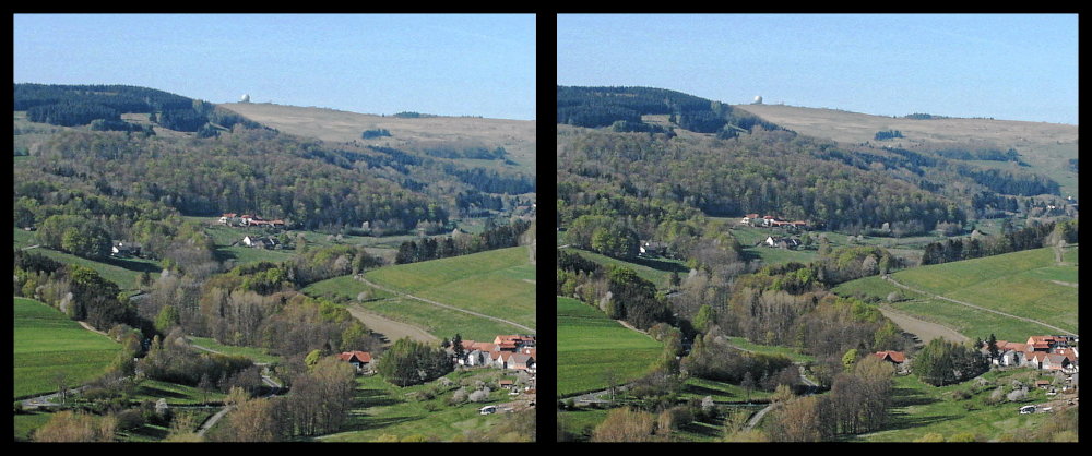 Frühling in der Rhön